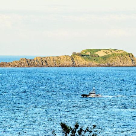 Aurrekoetxea 36 Vr, Talako Izarra Appartement Bermeo Buitenkant foto